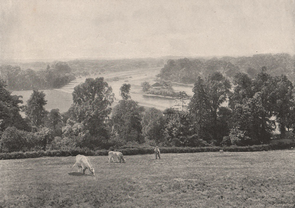 View from Richmond Hill. London 1896 old antique vintage print picture